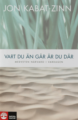 Vart du än går ör du där vart du än går är du där - wellnessbok