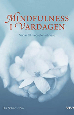 mindfulness i vardagen - wellnessbok
